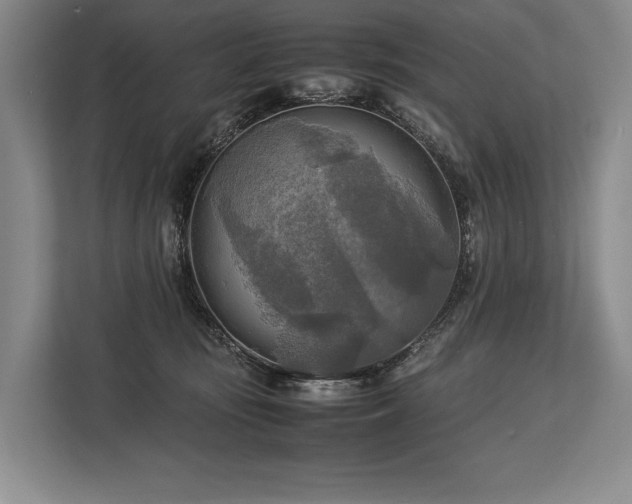 X0000113750371200909231136
