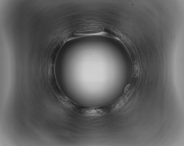 X0000113750379200909231136
