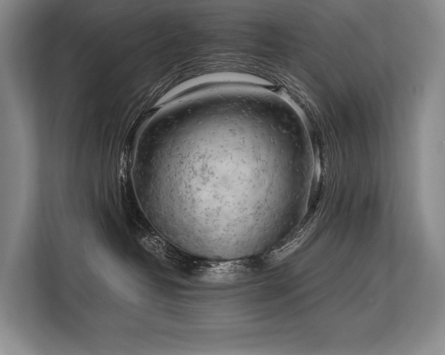 X0000113750382200909231136