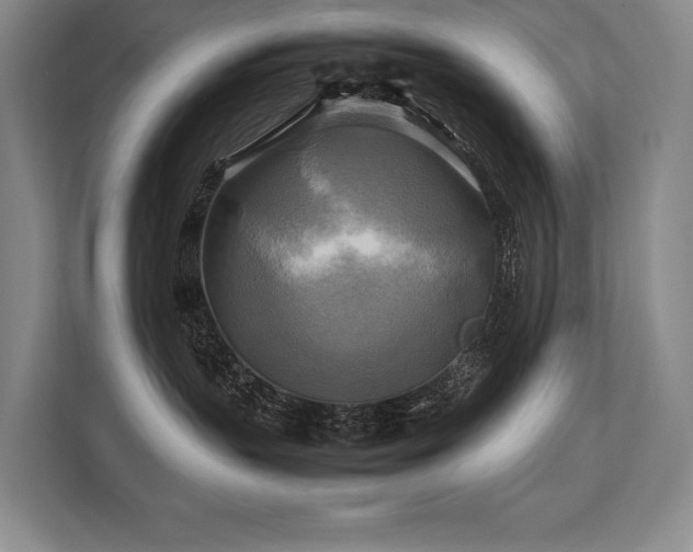 X0000113750383200909231136