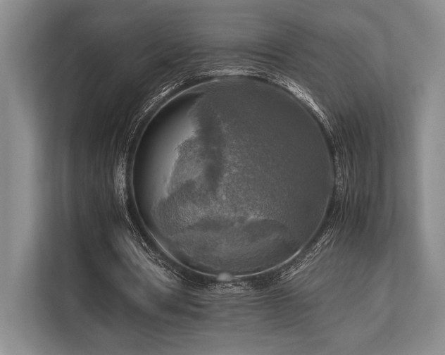 X0000113750386200909231136