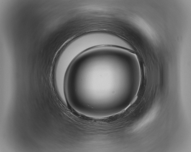 X0000113750387200909231136