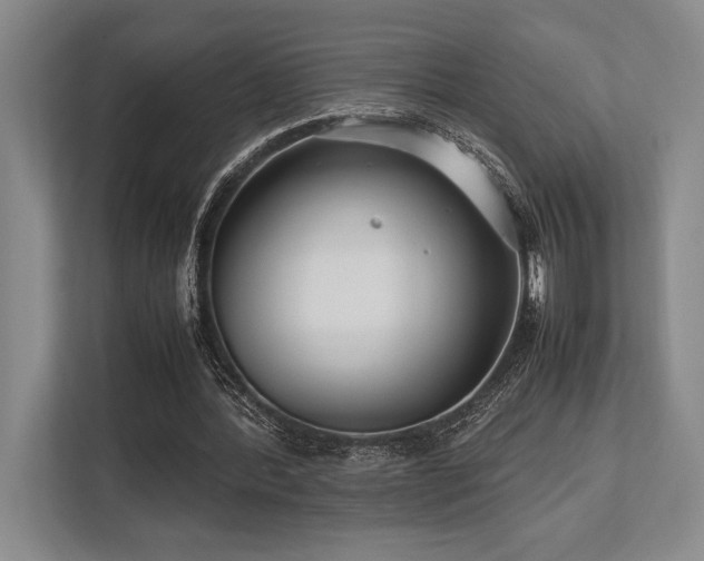 X0000113750388200909231136