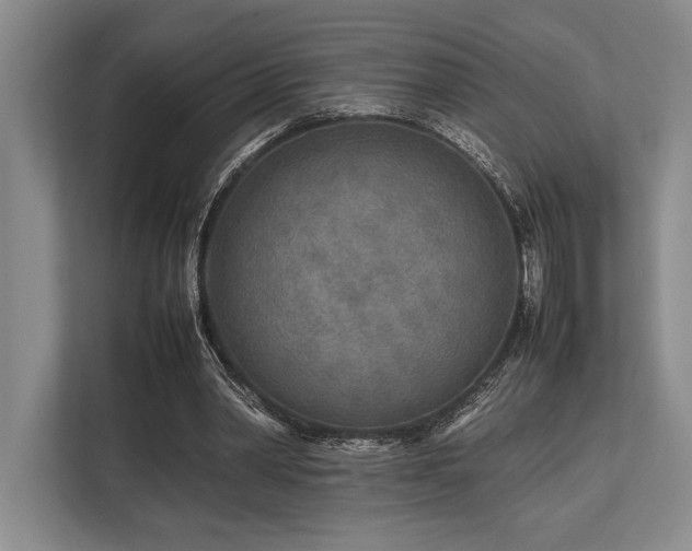 X0000113750390200909231136