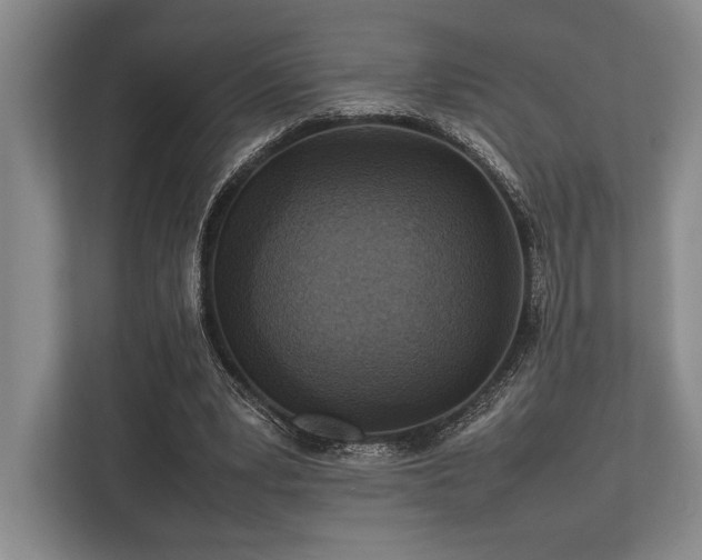 X0000113750391200909231136