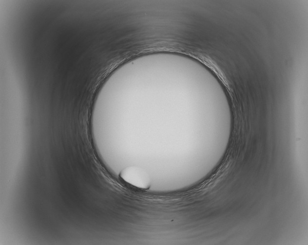 X0000113750393200909231136