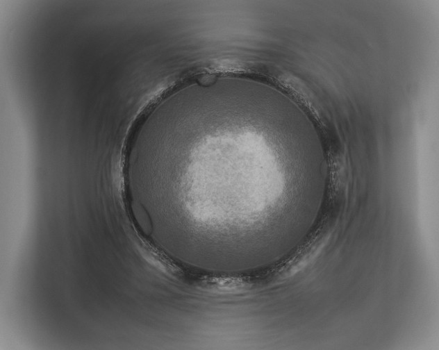 X0000113750395200909231136