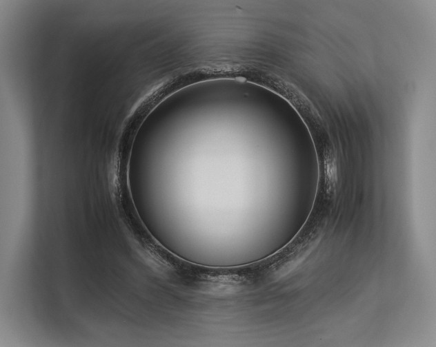 X0000113750396200909231136