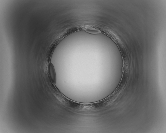 X0000113750401200909231136