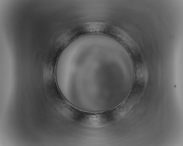 X0000113750411200909231136
