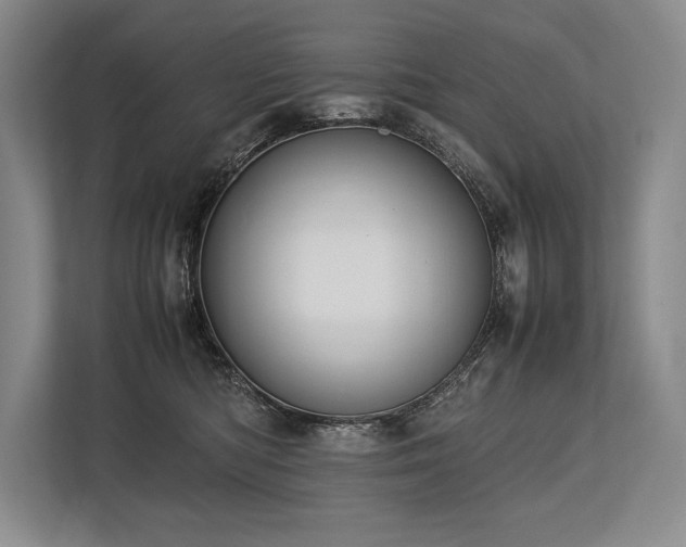 X0000113750422200909231135