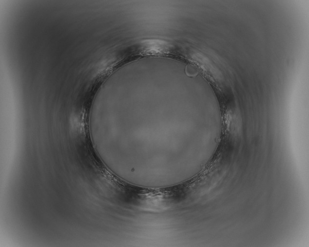 X0000113750423200909231135