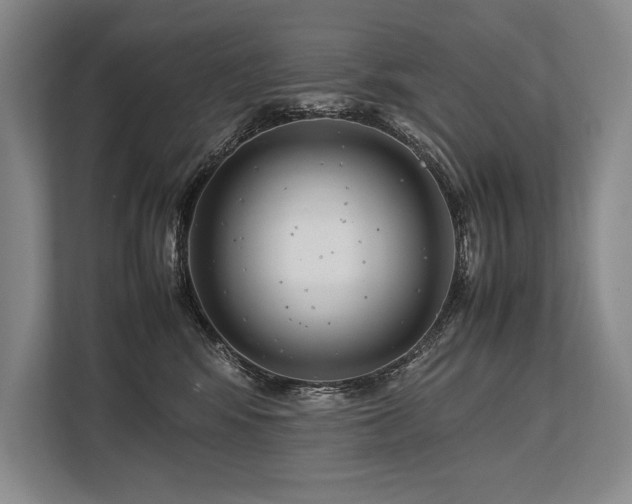 X0000113750424200909231135