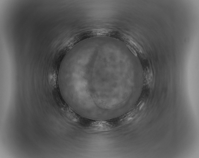 X0000113750427200909231135