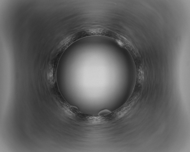 X0000113750428200909231135