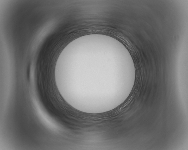 X0000113750429200909231135