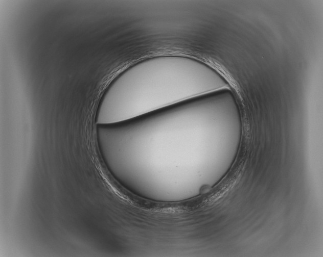 X0000113750433200909231135