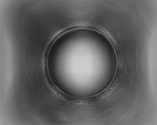 X0000113750434200909231135