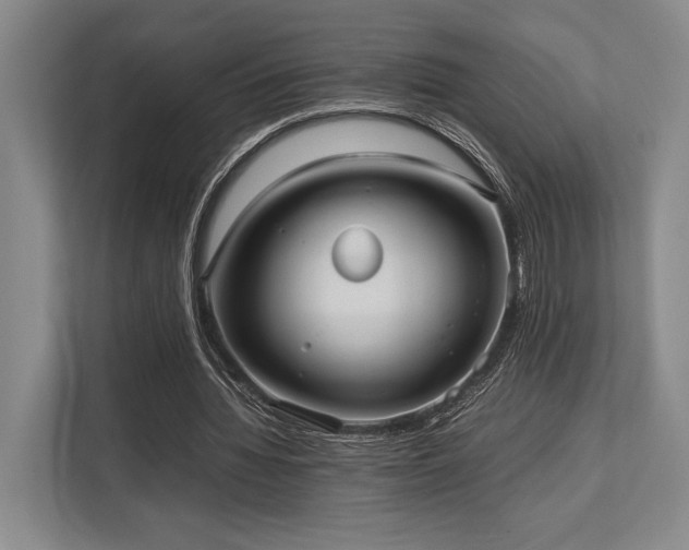 X0000113750436200909231135