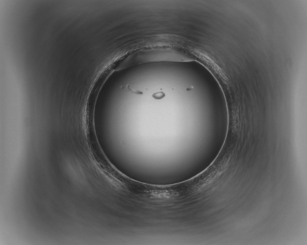 X0000113750439200909231135