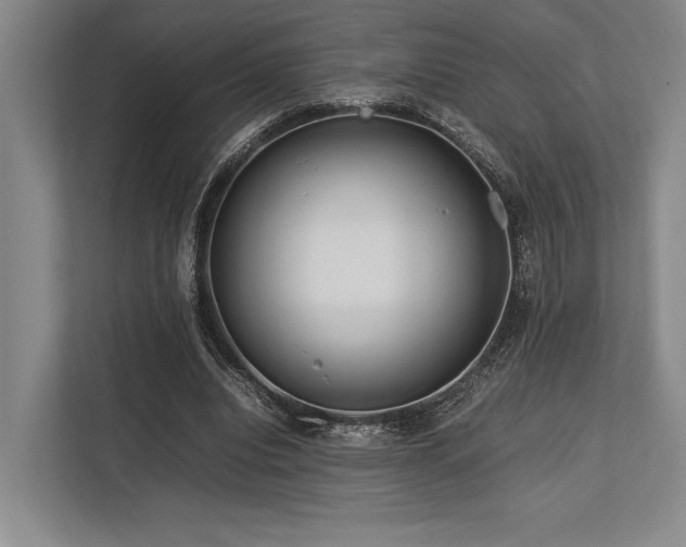X0000113750440200909231135