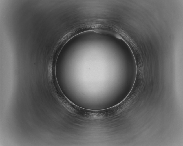 X0000113750442200909231135