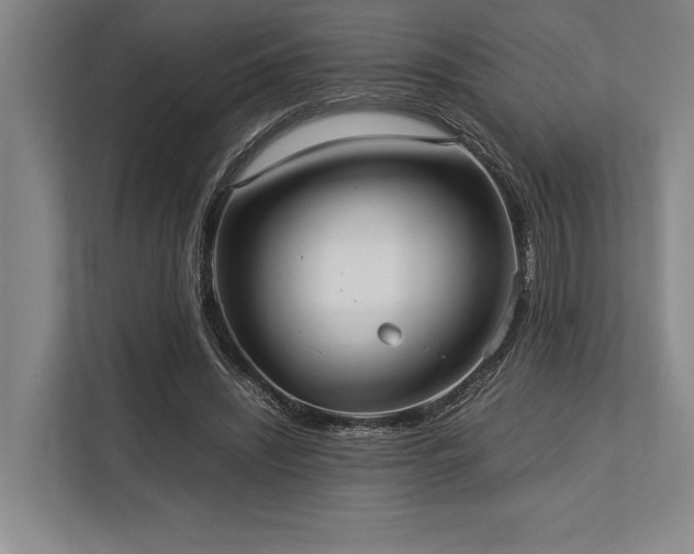 X0000113750444200909231135