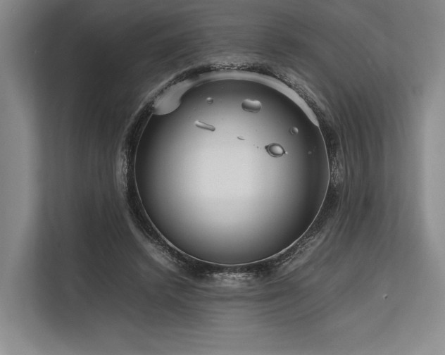 X0000113750448200909231135