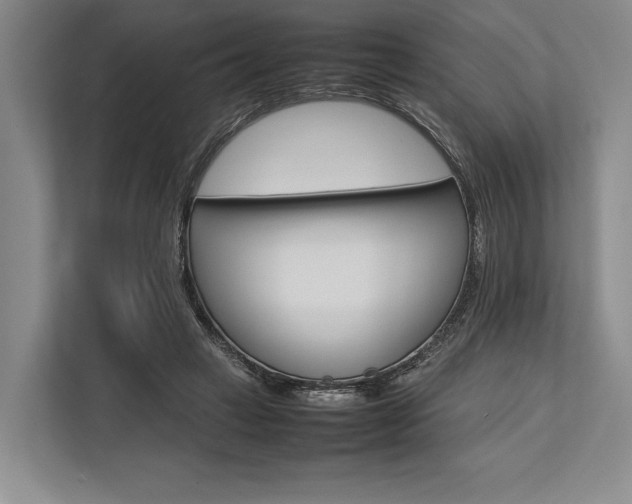 X0000113750449200909231135