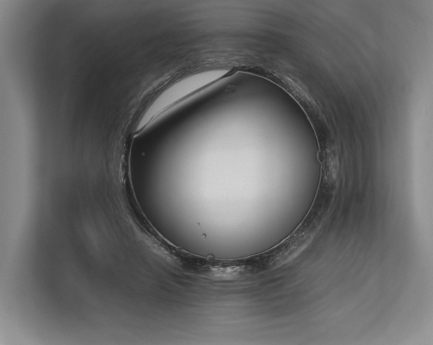 X0000113750450200909231135