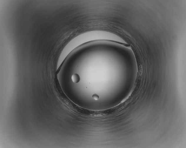 X0000113750452200909231135