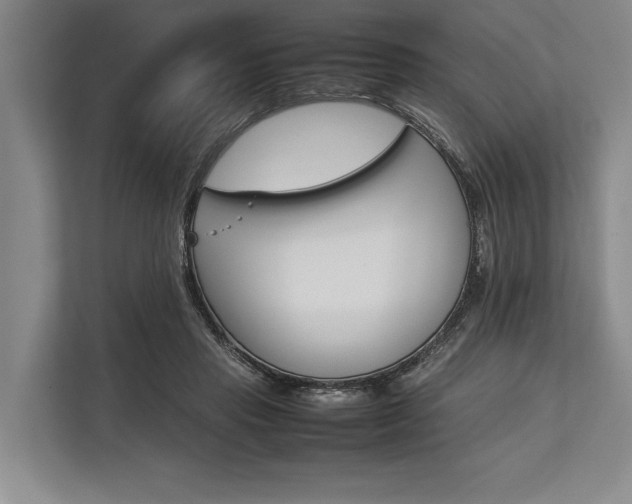 X0000113750453200909231135