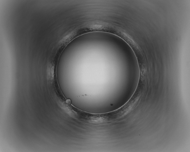 X0000113750454200909231135