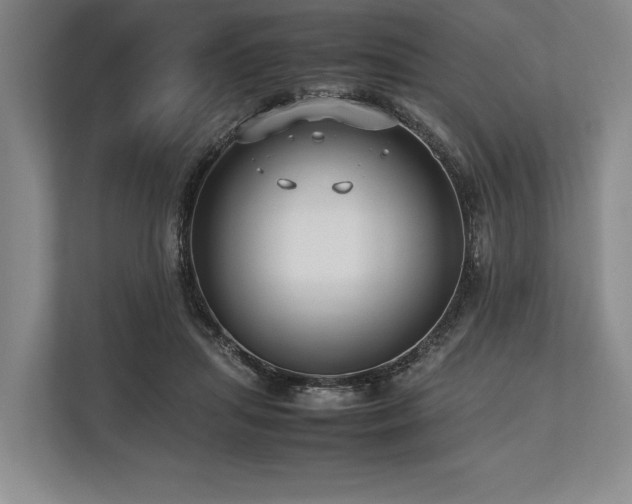 X0000113750455200909231135