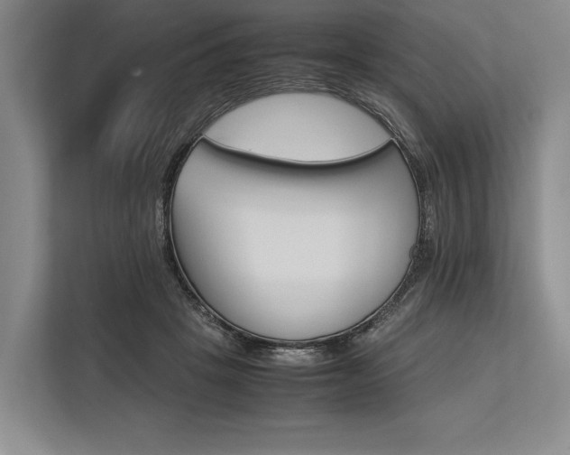 X0000113750457200909231135