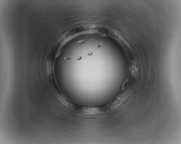 X0000113750476200909231135
