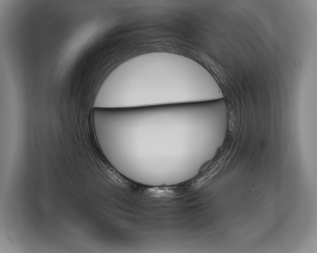 X0000113750477200909231135