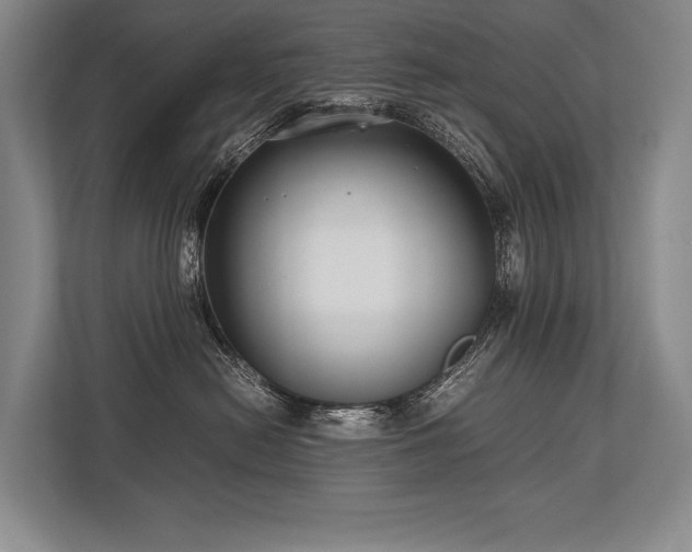 X0000113750478200909231135