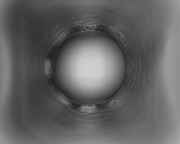 X0000113750480200909231135