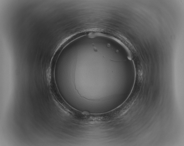 X0000113750484200909231135