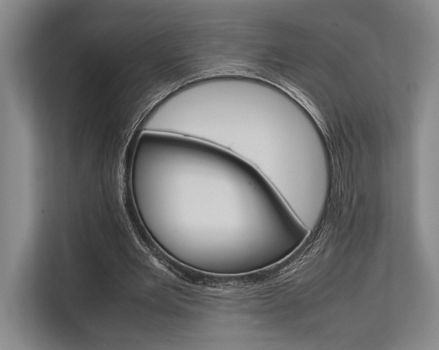 X0000113750485200909231135