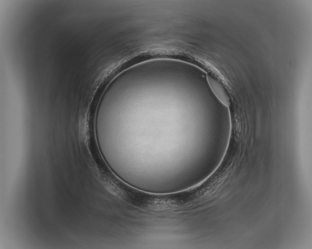 X0000113750487200909231135