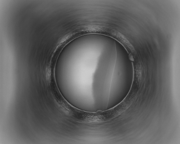 X0000113750488200909231135