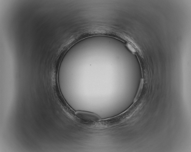 X0000113750489200909231135