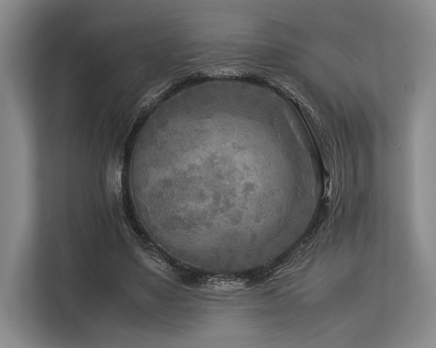X0000113750491200909231134