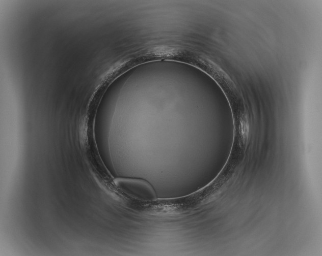 X0000113750492200909231134