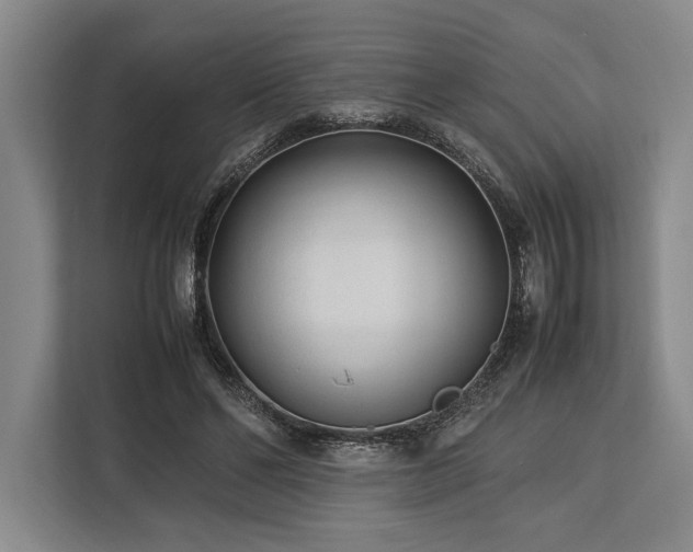 X0000113750494200909231134