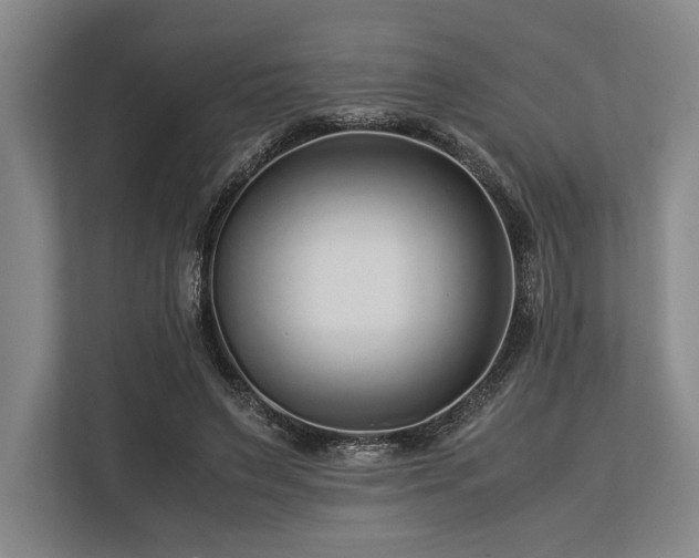 X0000113750495200909231134