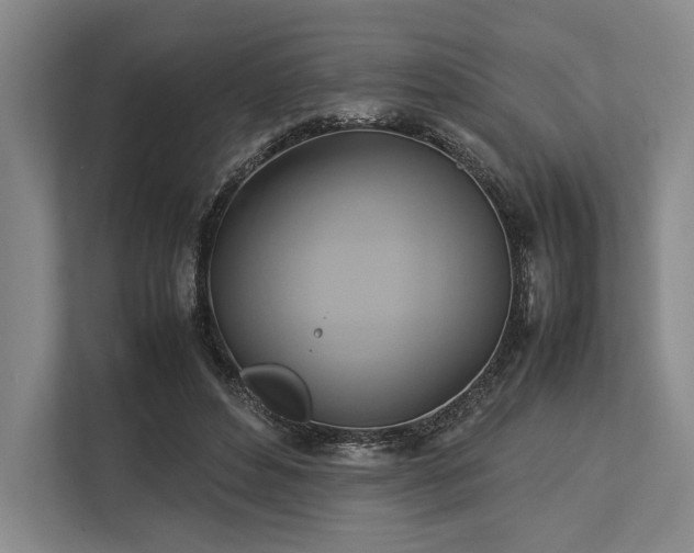 X0000113750496200909231134