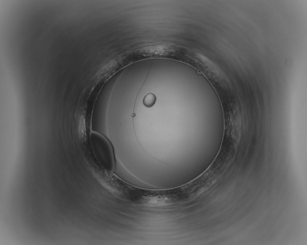 X0000113750500200909231134